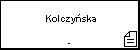  Kolczyska
